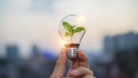 A hand holding a light bulb that has plant and soil inside.